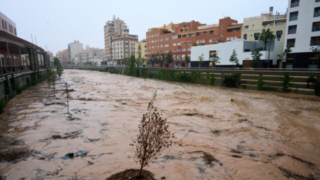 دانا الجديدة في ملقة
