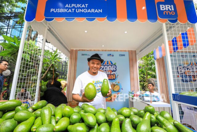 Budidaya alpukat. Berkat pemberdayaan BRI Klasterku Hidupku, Petani Ini berhasil membudidaya alpukat.