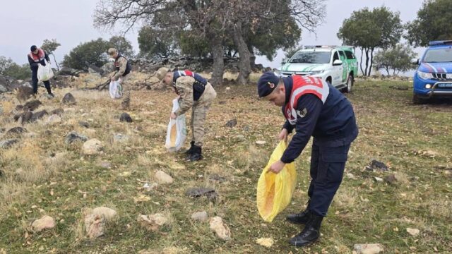 تم ترك العلف في الطبيعة للحيوانات البرية في كيليس
