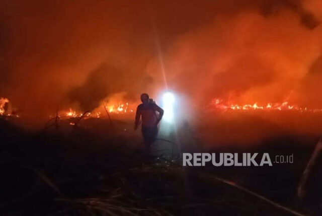 Gudang di Komplek Uka, Jalan Perdamaian, Kecamatan Koja, Jakarta Utara (Jakut) pada Sabtu (28/12/2024) dini hari WIB, ludes terbakar (ilustrasi).