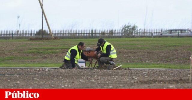 سيتم افتتاح New Parque Tejo Trancão في 14 فبراير كمكان "للعائلات للتواصل الاجتماعي" | حديقة تيتي ترانكاو
