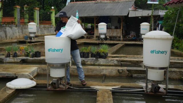 الطريقة المزعومة لاختلاس مبلغ 9.7 تريليون روبية إندونيسية من قبل إدارة eFishery
