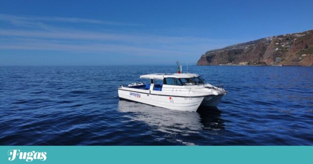 الخشب: Seabus Calheta الجديد ، Funchal و Caniçal عن طريق البحر | جولات
