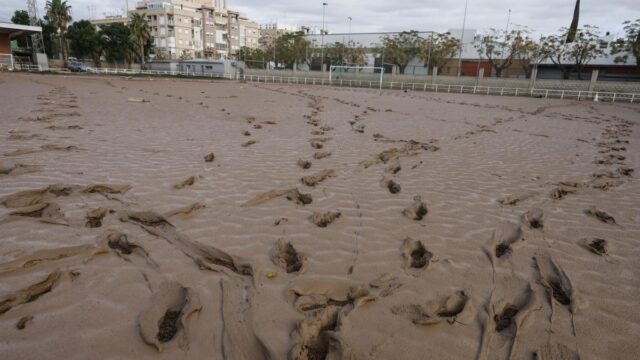 الإيدز الحكومية لدانا: بايبورتا ، 201 مليون ؛ Catarroja ، 138 و Valencia ، 137
