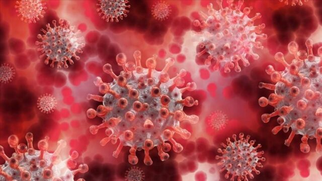 تحذير "Norovirus" من اسم الخبير: استخدم قناعًا!
