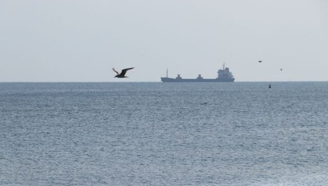 عاد النقل البحري إلى طبيعته في Tekirdağ
