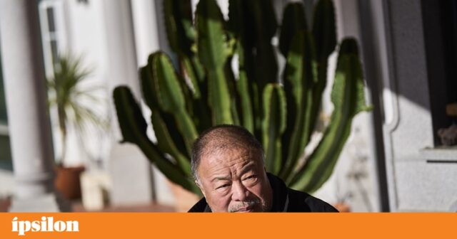 تحظر سويسرا دخول AI Weiwei إلى البلاد | الفنون
